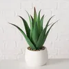 Plante d'aloès artificielle en pot MONDRAGO, 29 cm Voir les images du produit 2