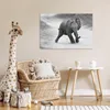 MuchoWow® Poster Elefant - Baby - Tiere - Kröte - Schwarz Produktbild-Vorschau 7