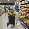 3-in-1 Einkaufstrolley klappbar mit 40L Kapazität belastbar Produktbild-Vorschau 8