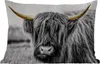 MuchoWow® Outdoor Kissen - Schottisches Hochlandrind - Produktbild-Vorschau 1