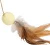 Designed by Lotte Katzenangel für Holz-Kratzball Wiggly Produktbild-Vorschau 2
