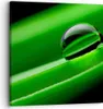 Bild auf Leinwand - Leinwandbild - Pflanze Tropfen Wasser Produktbild-Vorschau 1