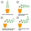 30 Stück 90 Grad Plant Bender, Pflanzen Biegetrainer, Produktbild-Vorschau 7