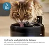 Philips Fontaine pour animaux de compagnie avec système de Voir les images du produit 11