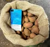 Pflanzkartoffeln Laura 10 kg Setzling Saatkartoffeln Produktbild-Vorschau 1