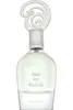 Oud Pour Klassik - EDP - Inhalt: 100 ml Produktbild-Vorschau 3