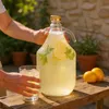 lilawelt24 4 x 5L Glasballon (Gallone) mit Produktbild-Vorschau 7