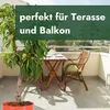 Meine Orangerie - Zwergobst Stämmchen Nektarine - Produktbild-Vorschau 6