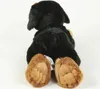 A stuffed toy dog is shown from behind, sitting on a white background. Produktbild-Vorschau