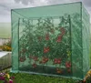 GREENPRO XXL Gewächshaus Treibhaus Frühbeet Produktbild-Vorschau 2