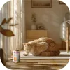 A cat eating from a bowl next to a can of cat food in a sunlit room. Produktbild-Vorschau
