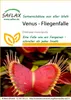 SAFLAX - Venus - Fliegenfalle - Dionaea muscipula - 10 Produktbild-Vorschau 9