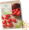Tomatensamen (Principe Borghese, 10 Korn) - Tomaten Saatgut Produktbild-Vorschau 1