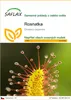 SAFLAX - rosnatka - Drosera capensis - 200 Semena Náhled obrázku produktu 1