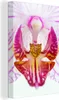 OneMillionCanvasses® - Leinwandbilder - 90x140 cm, Orchidee Produktbild-Vorschau 1