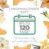Air Wick Duftöl-Flakon Nachfüller Sommervergnügen 19ml Voir les images du produit 8