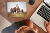 MuchoWow® Mauspad Mousepad Pferde - Gras - Frühling 23x19 Produktbild-Vorschau 3