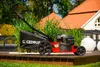 Honda Kosiarka Spalinowa Do Trawy Cedrus Ks53S-H Al Podgląd zdjęcia produktu 9