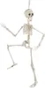 Dekoracja na Halloween szkielet biały 48 cm - jeden rozmiar Podgląd zdjęcia produktu 3