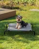 A small dog sits on an elevated pet bed in a grassy outdoor area. Anteprima dell’immagine prodotto