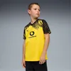 Koszulki Puma Bvb Home Jersey Replica 946438001 Podgląd zdjęcia produktu 3