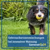 Kiepenkerl Blumensamen Dachbegrünung und Trockenrasen 2 - 4 Produktbild-Vorschau 4
