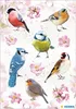HERMA Heimatvögel bunte Papiersticker Produktbild-Vorschau 2