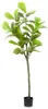 vidaXL Umelý strom Ficus 48 listov 165 cm zelený Náhľad obrázku produktu 5