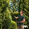 Télescope de coupe pour tronçonneuses, élagueuses, Voir les images du produit 3