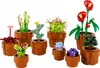 10329 – LEGO The Botanical Collection – Kleine Pflanzen Produktbild-Vorschau 3