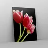 Bild auf Leinwand - Leinwandbild - Einteilig - Tulpe garten Produktbild-Vorschau 4