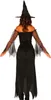 A person wearing a witch costume, viewed from the back. Produktbild-Vorschau