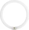 OSRAM Leuchtrohr G10 Ringröhre 2250lm 32 Watt/840 Ø305mm Produktbild-Vorschau 6