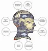 Mappa del puzzle di Avatar Il Signore degli Elementi (1000 Anteprima dell’immagine prodotto 5