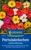 Kiepenkerl Portulakröschensamen Gefüllte Mischung 120 Produktbild-Vorschau 1