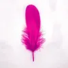 Federn Gänsefedern, ca. 15-20 cm, 10 Stück, Fuchsia Produktbild-Vorschau 3