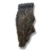 A single piece of dried beef tripe for dogs against a white background. Anteprima dell’immagine prodotto