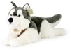 Velký plyšový pes husky s postrojem 60 cm ECO-FRIENDLY Náhled obrázku produktu 1