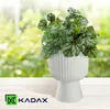 A white plant pot with a green plant sits on a white wooden table, with a blurred green background of foliage. Podgląd zdjęcia produktu