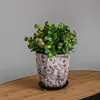Blumentopf Rund Lange Keramik Ø 18,5 cm H 20,5 cm Braun Produktbild-Vorschau 6
