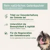 AniForte Grünlippmuschel Pulver für Hunde 500 g - Produktbild-Vorschau 3