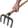 KADAX Houe à pommes de terre avec 4 dents et long manche en Voir les images du produit 9