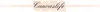 The image shows the brand name 'Canvaslife' in a stylized font, with soft peach-colored circles behind the text. A light peach horizontal bar runs across the image, behind the text. Náhled obrázku produktu