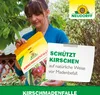 Neudorff KirschmadenFalle 7 Stück Produktbild-Vorschau 6