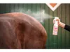 B & E StarFinish Unicorn-Edition - Schweif- und Mähnenspray Produktbild-Vorschau 4