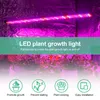 Światło LED do uprawy, pełne spektrum 5000K światła Podgląd zdjęcia produktu 5