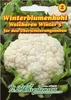 Blumenkohl Walcheren Winter 5 | Blumenkohlsamen von N.L. Produktbild-Vorschau 4