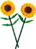 40524 Extractos vegetales de girasol Vista previa de la imagen del producto 3
