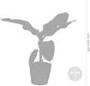 Bloomique - Musa Oriental Dwarf - Bananenpflanze - Produktbild-Vorschau 4