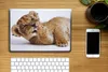 MuchoWow® Laptop Aufkleber Sticker Cover Löwe - Weiß - Produktbild-Vorschau 2